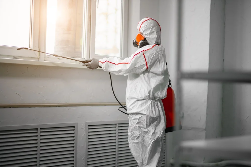 Professional mold remediation services in Bedminster, NJ
